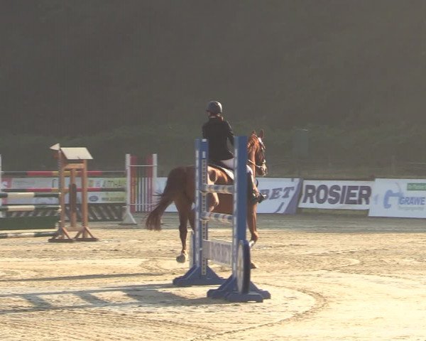 Reitturnier Hemer-Oese an der Edelburg 2021