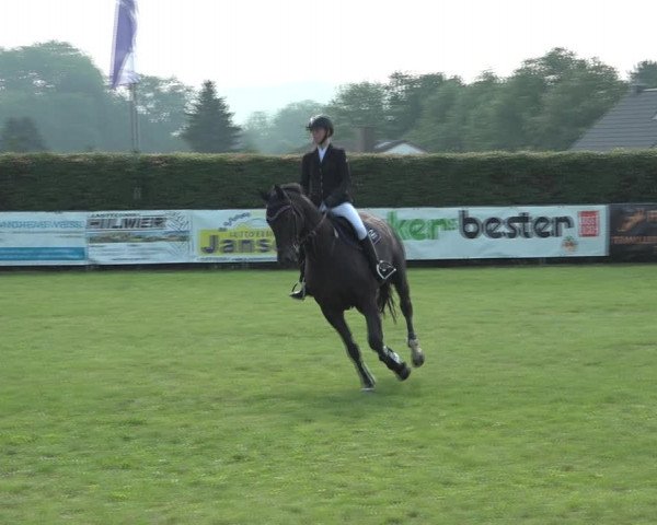 Reitturnier Moringen 2021