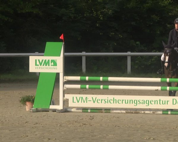 Reitturnier Hünfelden-Kirberg 2021