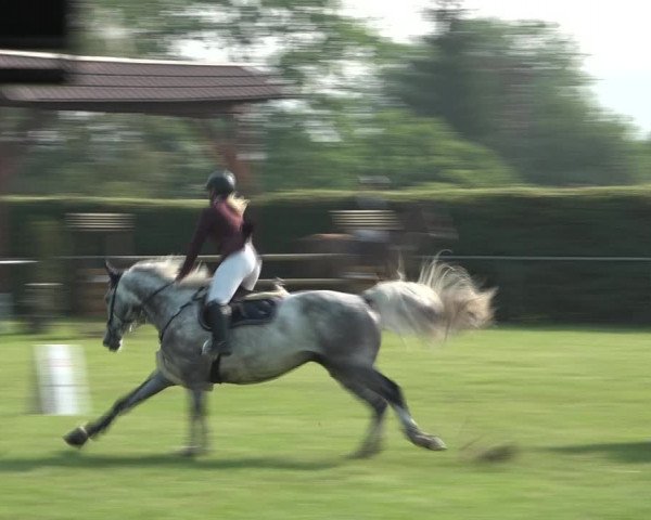 Reitturnier Moringen 2021