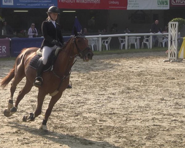 Reitturnier Hünfelden-Kirberg 2021