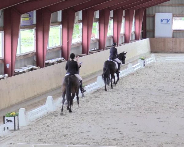 Reitturnier Süderlügum 2021