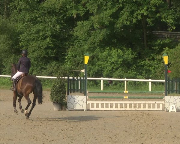 Reitturnier Hünfelden-Kirberg 2021
