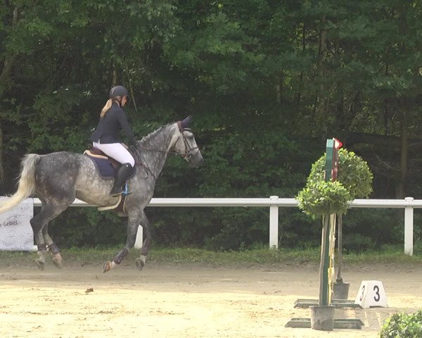 Reitturnier Hünfelden-Kirberg 2021