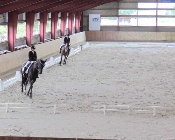 Reitturnier Süderlügum 2021