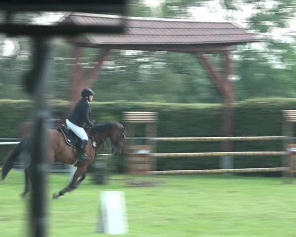 Reitturnier Moringen 2021
