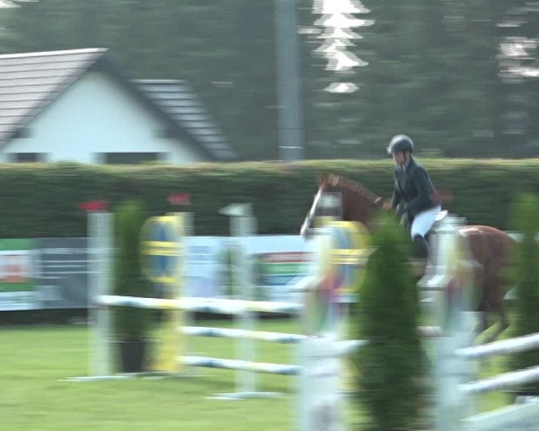 Reitturnier Moringen 2021