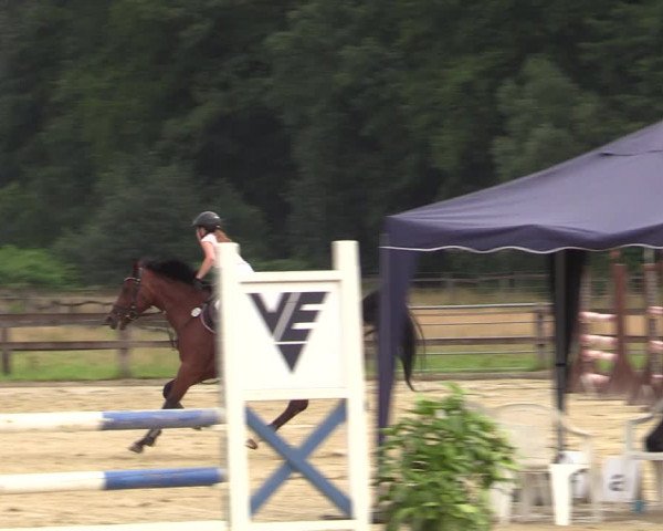 Reitturnier Hemer-Oese an der Edelburg 2021