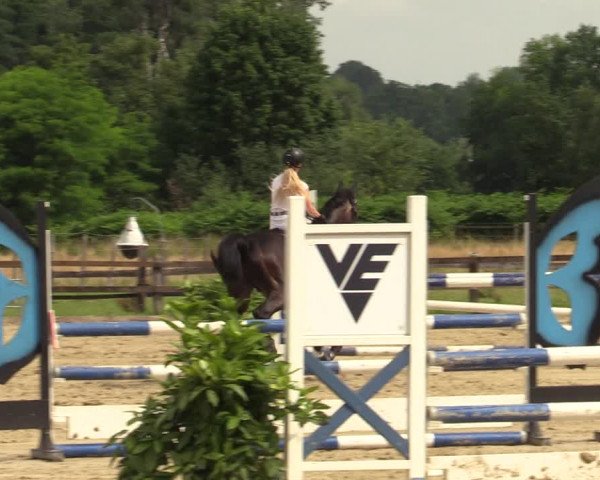 Reitturnier Hemer-Oese an der Edelburg 2021