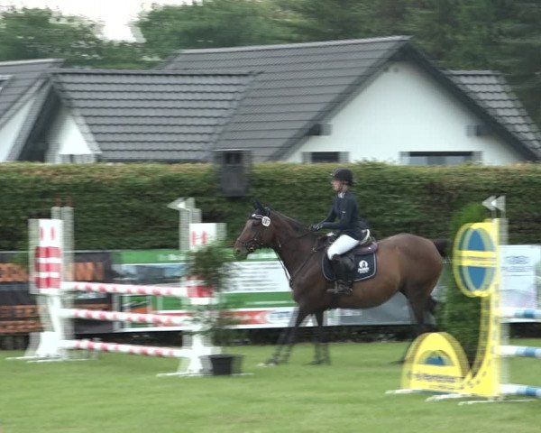 Reitturnier Moringen 2021