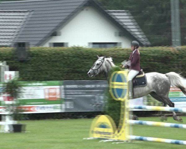 Reitturnier Moringen 2021