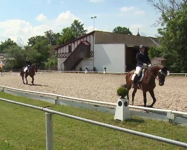 Reitturnier Hof-Haidt 2021