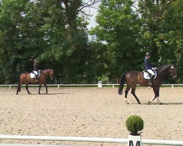 Reitturnier Hof-Haidt 2021