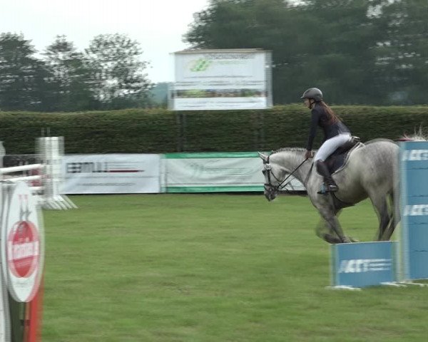 Reitturnier Moringen 2021