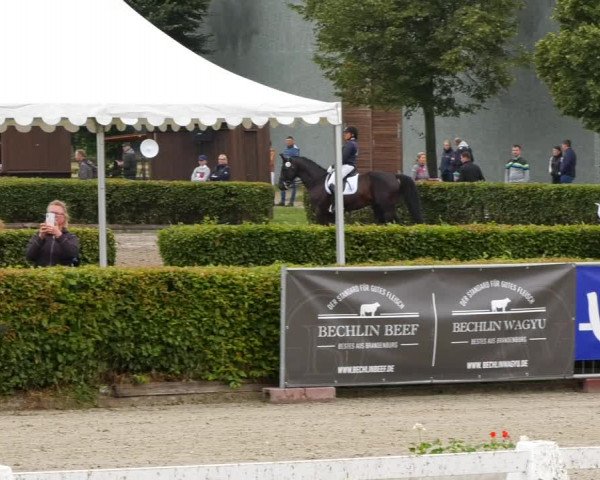 Reitturnier Neustadt/Dosse 2021