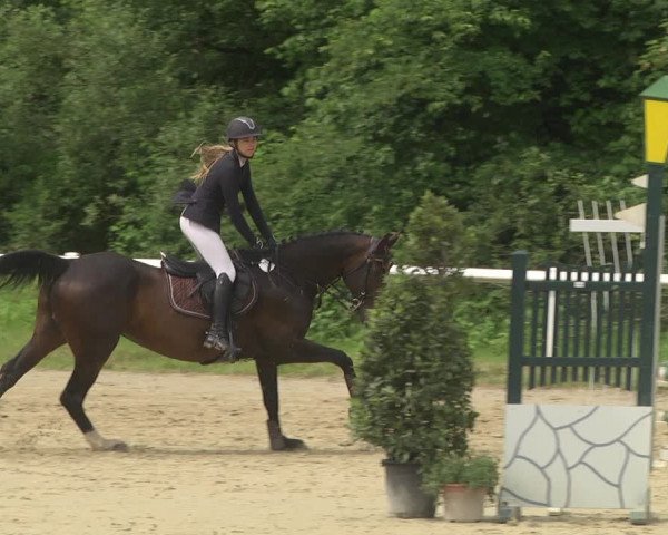 Reitturnier Hünfelden-Kirberg 2021