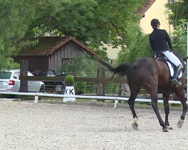 Reitturnier Hof-Haidt 2021