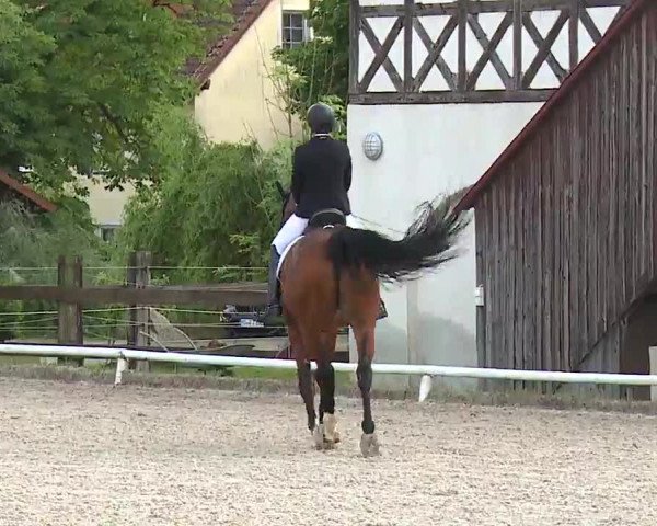 Reitturnier Hof-Haidt 2021