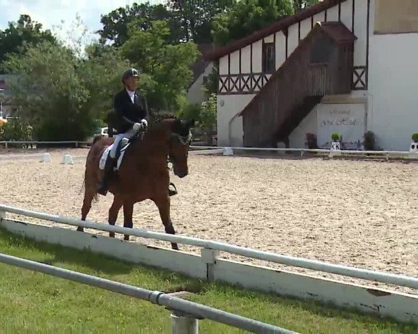 Reitturnier Hof-Haidt 2021