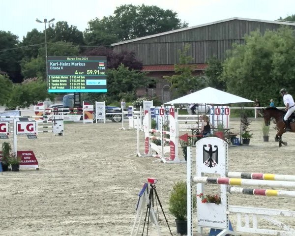 Reitturnier Haren/Lüssing 2021