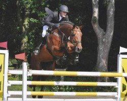 broodmare Unique 75 (Holsteiner, 2004, from Limbus)