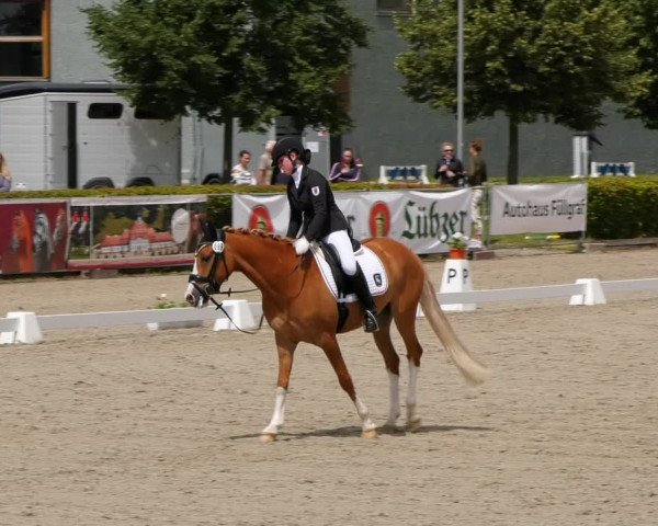 Reitturnier Neustadt/Dosse 2021