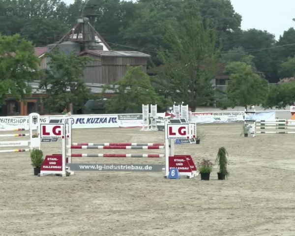 Reitturnier Haren/Lüssing 2021