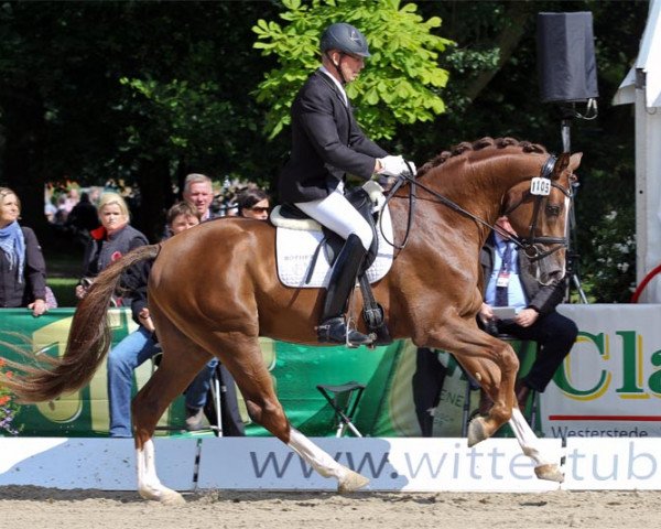 stallion Freundschaft 2 (Oldenburg, 2009, from Florencio I)