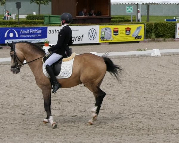 Reitturnier Neustadt/Dosse 2021