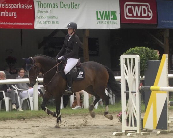 Reitturnier Hünfelden-Kirberg 2021