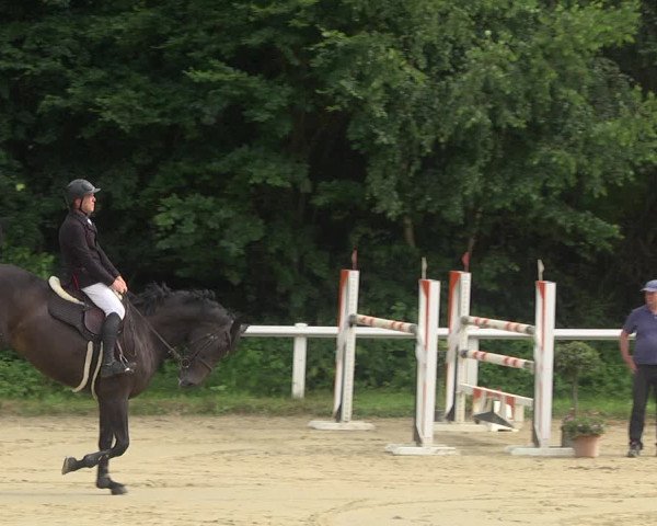 Reitturnier Hünfelden-Kirberg 2021