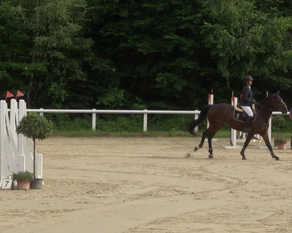 Reitturnier Hünfelden-Kirberg 2021