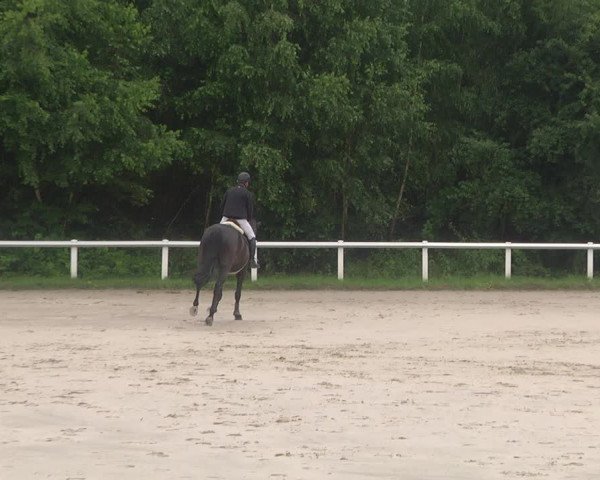 Reitturnier Hünfelden-Kirberg 2021