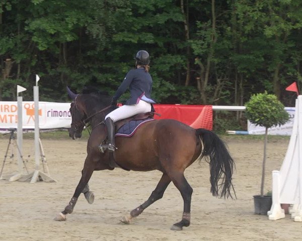 Reitturnier Hünfelden-Kirberg 2021