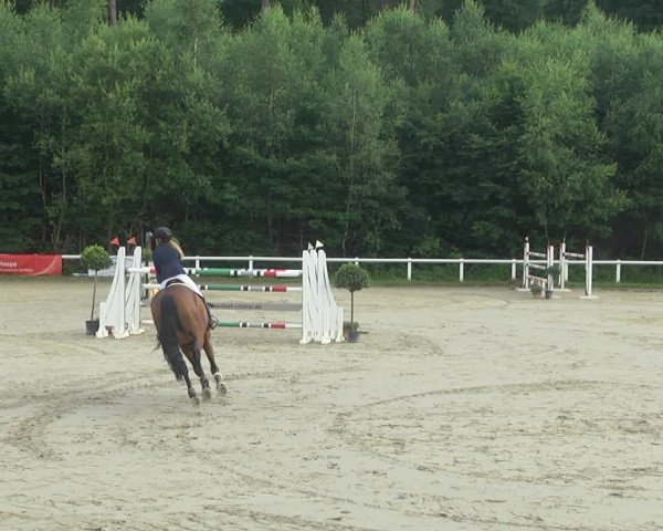 Reitturnier Hünfelden-Kirberg 2021