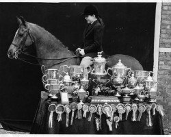 broodmare Pretty Polly (British Riding Pony, 1945, from Naseel ox)
