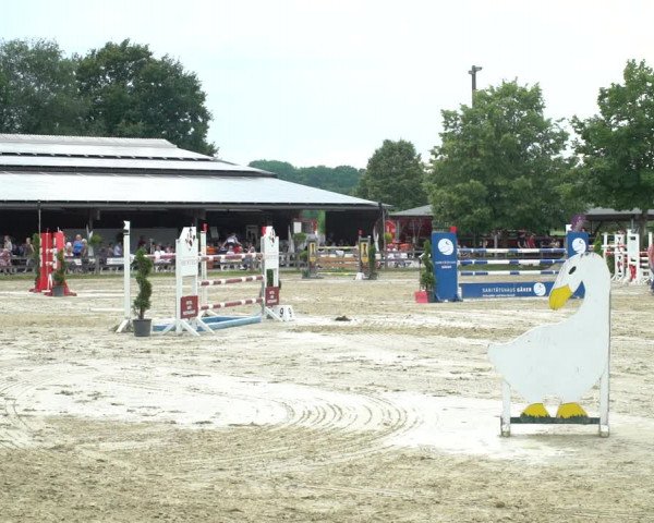 Reitturnier Münster-Roxel 2021