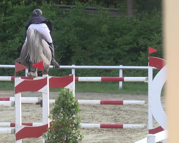 Reitturnier Hünfelden-Kirberg 2021