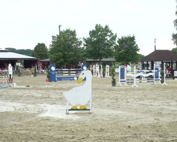 Reitturnier Münster-Roxel 2021