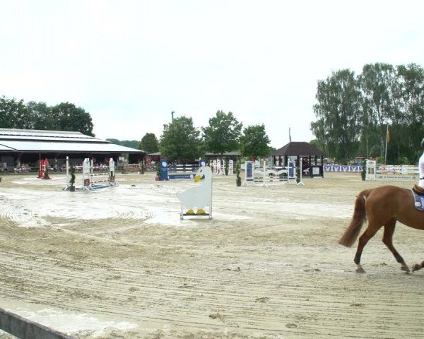 Reitturnier Münster-Roxel 2021