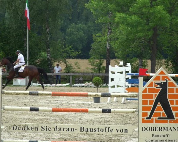 Reitturnier Münster-Roxel 2021