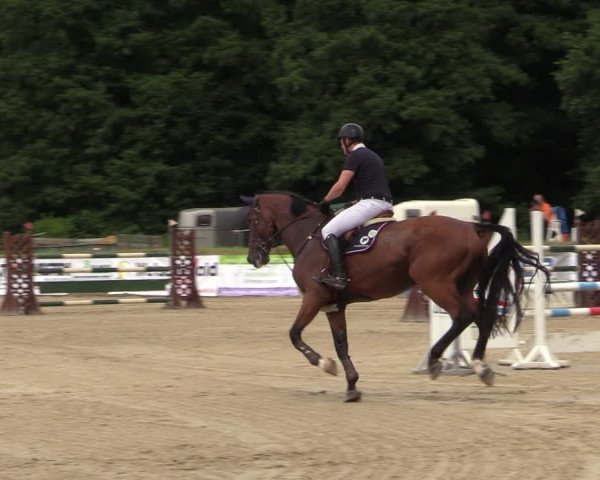 Reitturnier Hemer-Oese an der Edelburg 2021