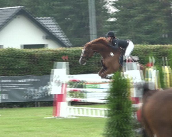 Reitturnier Moringen 2021