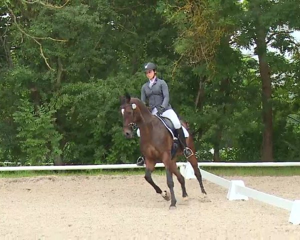 Reitturnier Hof-Haidt 2021