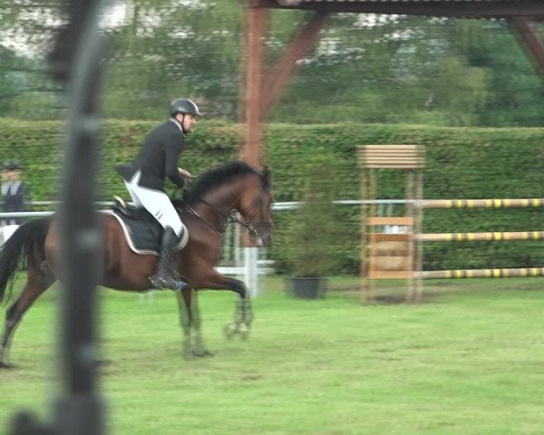 Reitturnier Moringen 2021