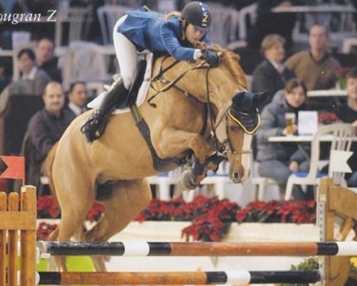 stallion Balougran (Oldenburg, 1999, from Baloubet du Rouet)