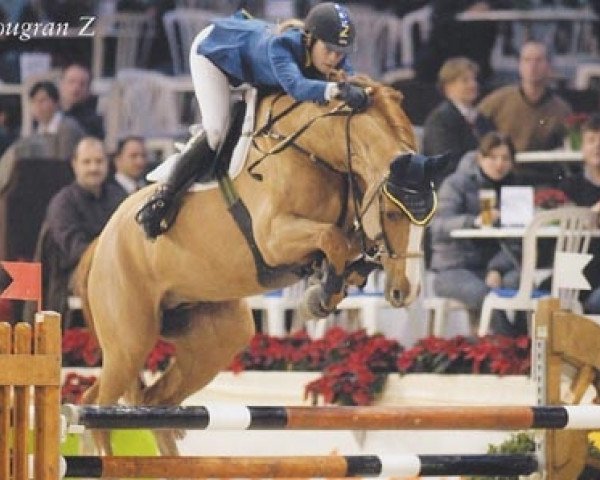 stallion Balougran (Oldenburg, 1999, from Baloubet du Rouet)