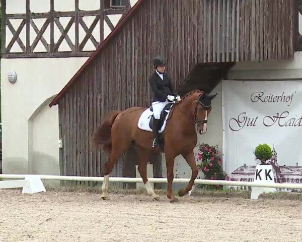 Reitturnier Hof-Haidt 2021
