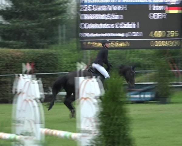 Reitturnier Moringen 2021