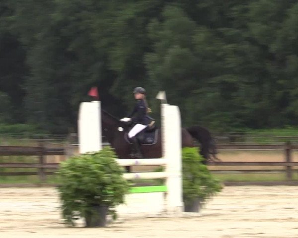 Reitturnier Hemer-Oese an der Edelburg 2021